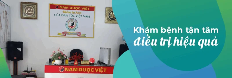 phong-kham-nam-duoc-viet